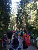 150705_LUPI_CampoRona_044.jpg