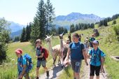 150705_LUPI_CampoRona_073.jpg