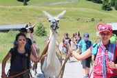150705_LUPI_CampoRona_079.jpg