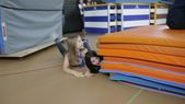 151003_ESPLO_TendeAperte_013.JPG