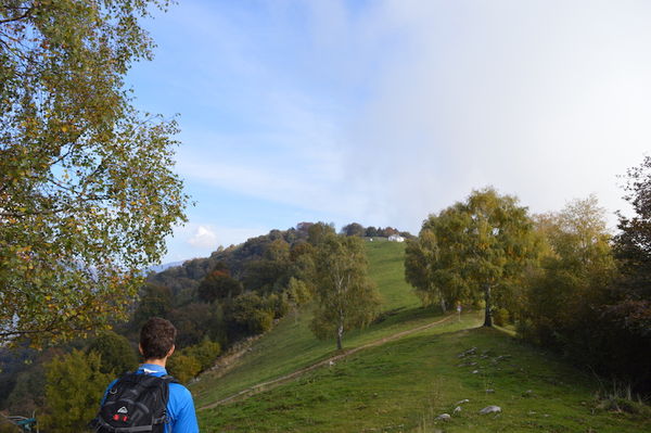 Clicca per vedere l'immagine alla massima grandezza