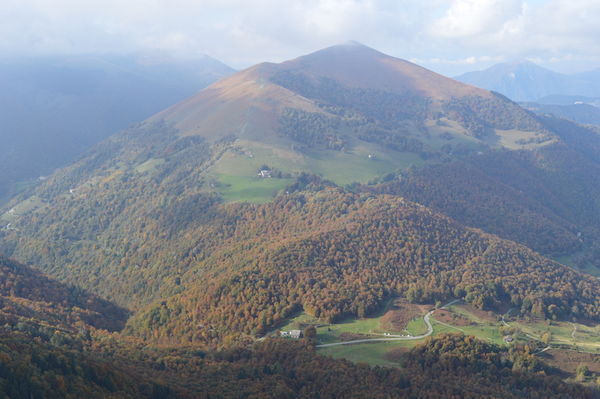 Clicca per vedere l'immagine alla massima grandezza