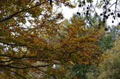 151010_PIO_UscitaValDiMuggio_019.jpg