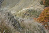 151010_PIO_UscitaValDiMuggio_031.jpg