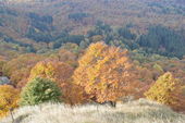151010_PIO_UscitaValDiMuggio_032.jpg