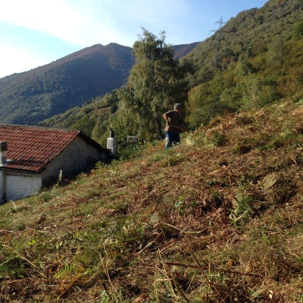 Clicca per vedere l'immagine alla massima grandezza