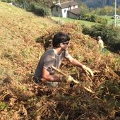 151010_ROVER_TaglioFelciTortoi_023.JPG