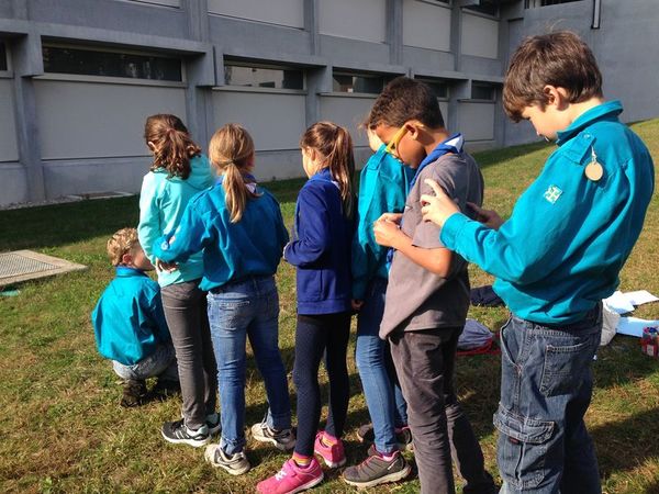 Clicca per vedere l'immagine alla massima grandezza