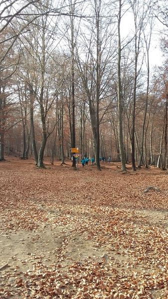 Clicca per vedere l'immagine alla massima grandezza