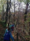 151114_LUPI_UscitaRedde_024.jpg