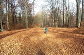 151114_LUPI_UscitaRedde_032.jpg