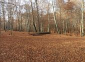 151114_LUPI_UscitaRedde_055.jpg