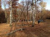 151114_LUPI_UscitaRedde_056.jpg