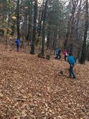 151212_LUPI_AttivitaNovDic_019.jpg