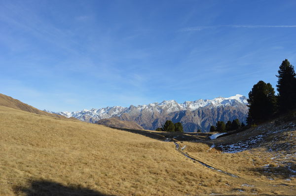 Clicca per vedere l'immagine alla massima grandezza