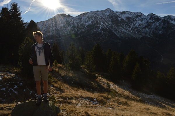 Clicca per vedere l'immagine alla massima grandezza