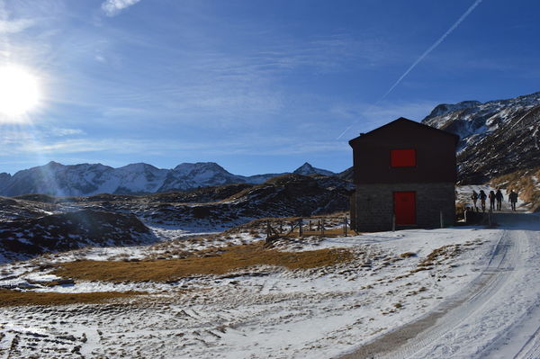 Clicca per vedere l'immagine alla massima grandezza