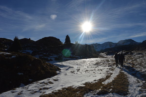 Clicca per vedere l'immagine alla massima grandezza