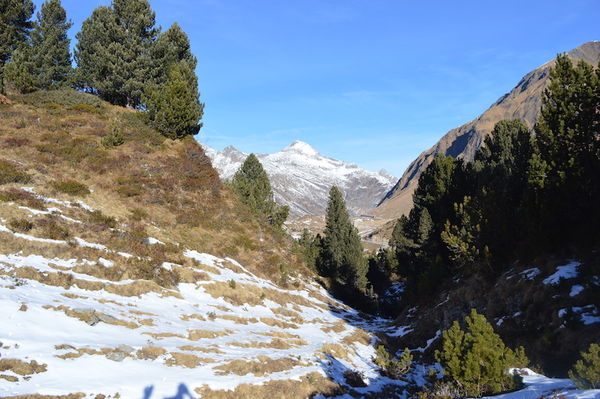 Clicca per vedere l'immagine alla massima grandezza