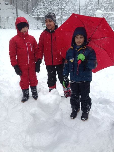 Clicca per vedere l'immagine alla massima grandezza
