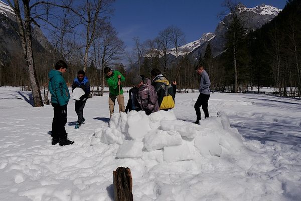 Clicca per vedere l'immagine alla massima grandezza