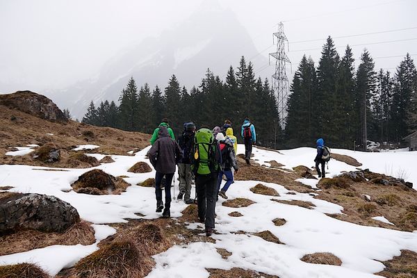 Clicca per vedere l'immagine alla massima grandezza