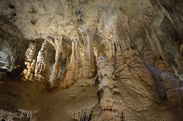 Clicca per vedere l'immagine alla massima grandezza