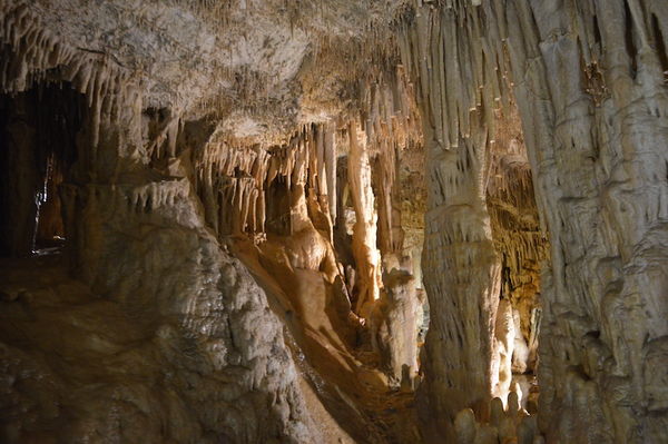 Clicca per vedere l'immagine alla massima grandezza