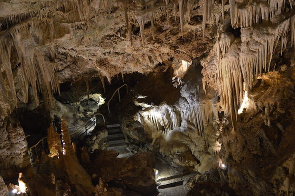 Clicca per vedere l'immagine alla massima grandezza
