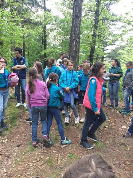 Clicca per vedere l'immagine alla massima grandezza
