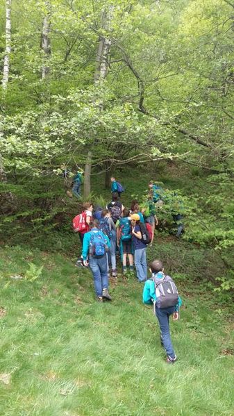 Clicca per vedere l'immagine alla massima grandezza