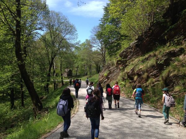 Clicca per vedere l'immagine alla massima grandezza
