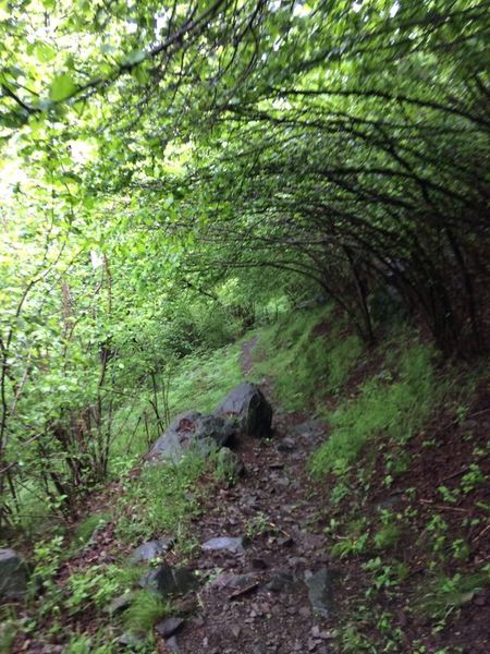 Clicca per vedere l'immagine alla massima grandezza