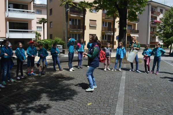 Clicca per vedere l'immagine alla massima grandezza