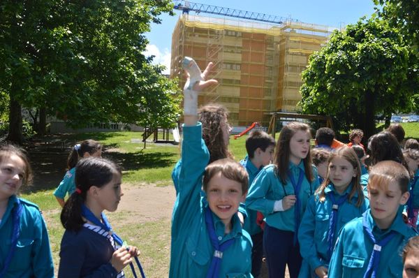 Clicca per vedere l'immagine alla massima grandezza