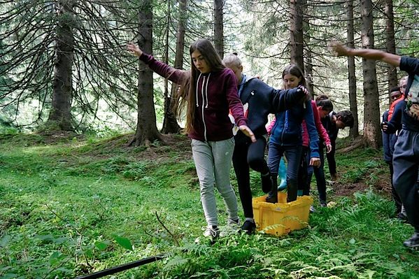 Clicca per vedere l'immagine alla massima grandezza