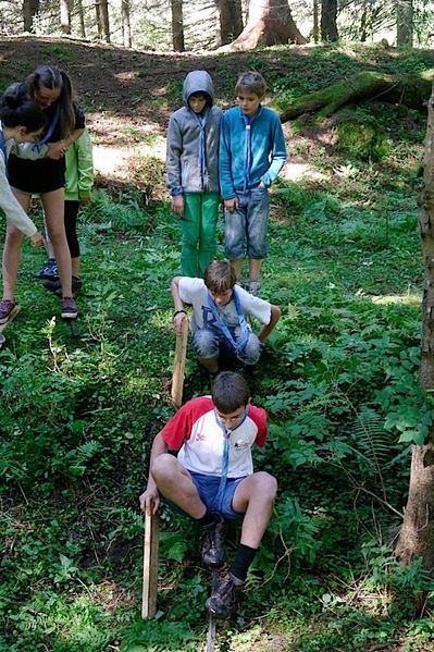Clicca per vedere l'immagine alla massima grandezza