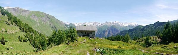 Clicca per vedere l'immagine alla massima grandezza