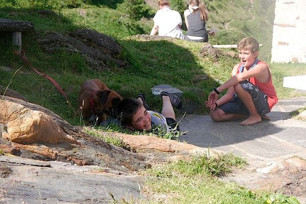 Clicca per vedere l'immagine alla massima grandezza