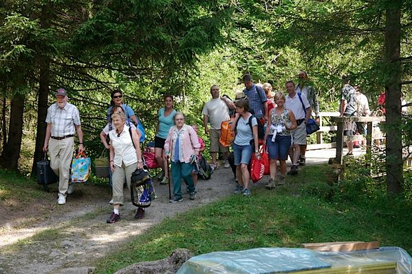 Clicca per vedere l'immagine alla massima grandezza