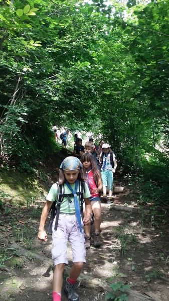 Clicca per vedere l'immagine alla massima grandezza