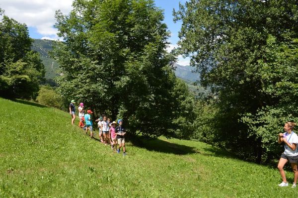 Clicca per vedere l'immagine alla massima grandezza