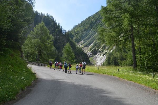 Clicca per vedere l'immagine alla massima grandezza