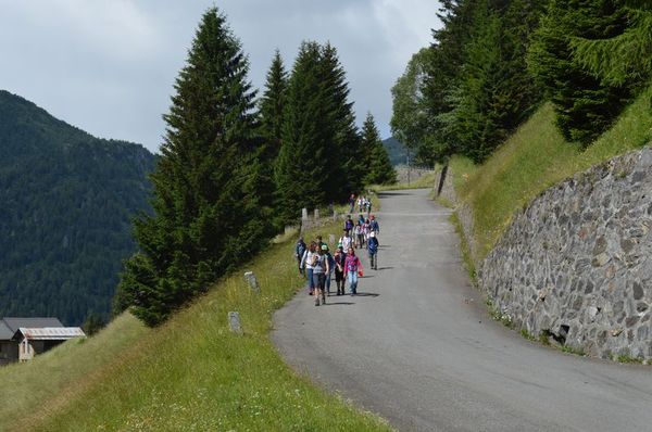 Clicca per vedere l'immagine alla massima grandezza