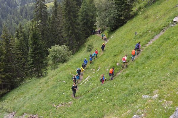 Clicca per vedere l'immagine alla massima grandezza