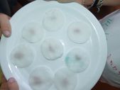 160703_LUPI_CampoLeontica_023.jpg