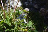 160703_LUPI_CampoLeontica_034.jpg