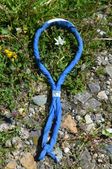 160703_LUPI_CampoLeontica_035.jpg