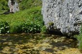 160703_LUPI_CampoLeontica_039.jpg