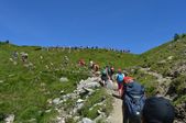 160703_LUPI_CampoLeontica_041.jpg